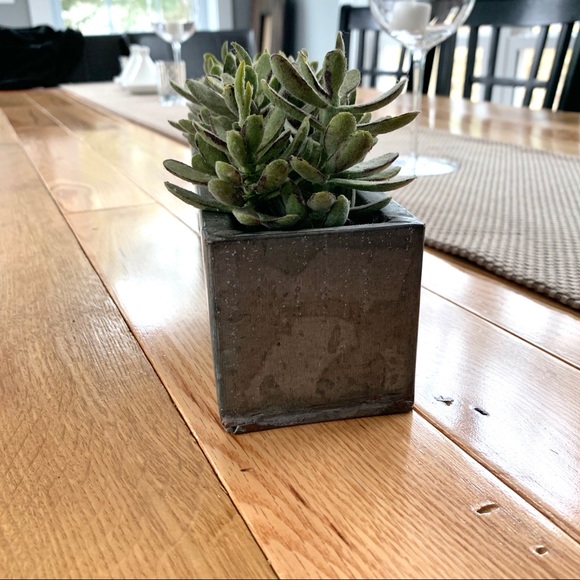 Chic rustic metal box plant - Picture 2 of 5